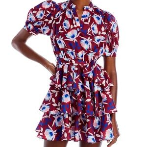 Aqua Burgundy Floral Ruffle Mini Dress